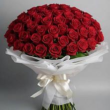 Букет 101 Красная роза Блэк Мэджик в Иванино
