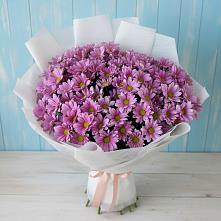 Букет цветов из:  Хризантемы в Иванино