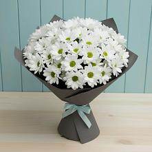 Букет цветов из:  Хризантемы в Иванино