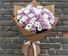 Букет цветов из:  Хризантемы #REPLACE_PRED# Иванино