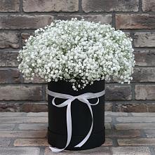 Цветочная композиция из Гипсофила в шляпной коробке в Иванино