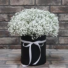 Цветочная композиция из Гипсофила в шляпной коробке в Иванино