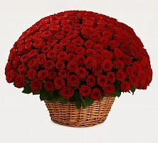 Премиум букет из: Розы #REPLACE_PRED# Иванино