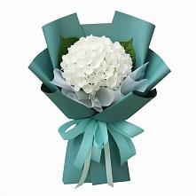 Букет цветов из:  Гортензия #REPLACE_PRED# Иванино